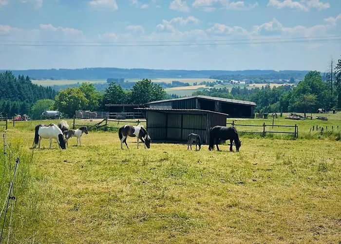 Ferienwohnung Eifel